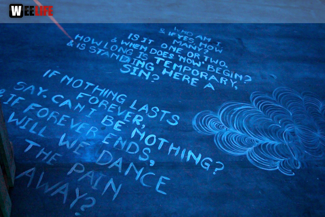 Social Experiment Party DJ Milk & Sugar Lloyd Johnson Coserbrothers