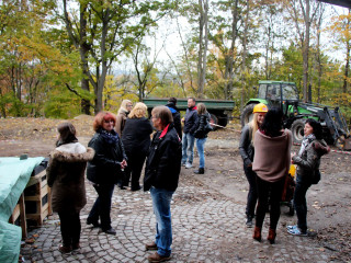 Vorschau des nächsten Fotos