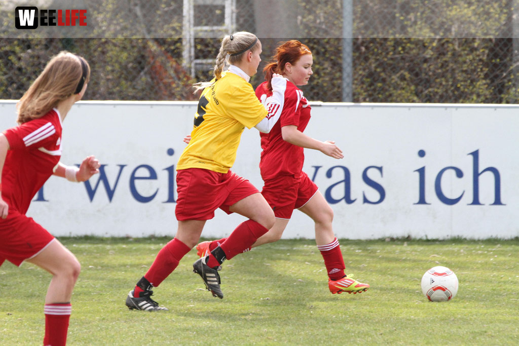FC Selb - TSG 2005 Bamberg
