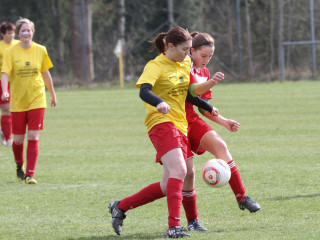 Foto 15098 im Album