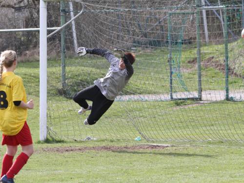 FC Selb - TSG 2005 Bamberg – Foto 53