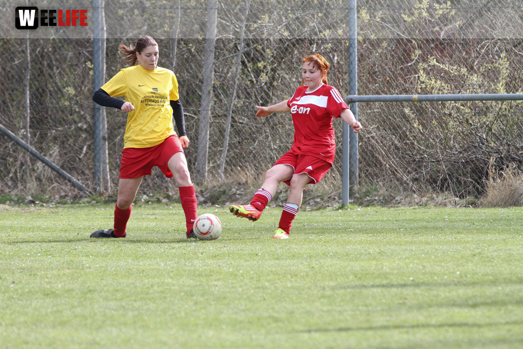 FC Selb - TSG 2005 Bamberg