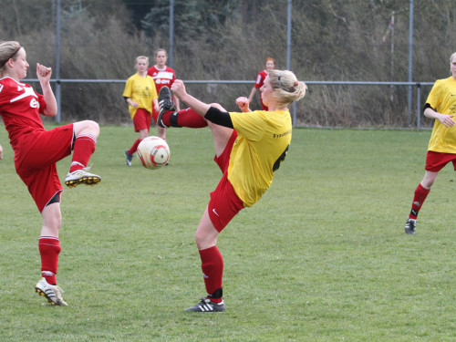 FC Selb - TSG 2005 Bamberg – Foto 65