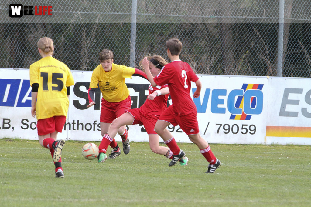 FC Selb - TSG 2005 Bamberg