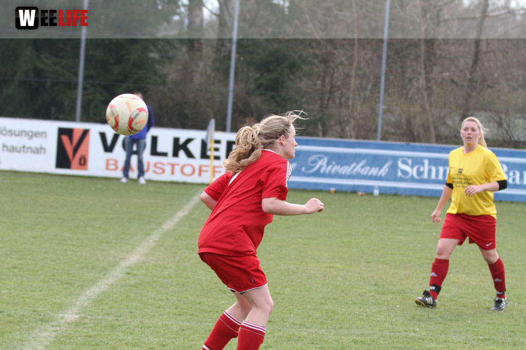 FC Selb - TSG 2005 Bamberg