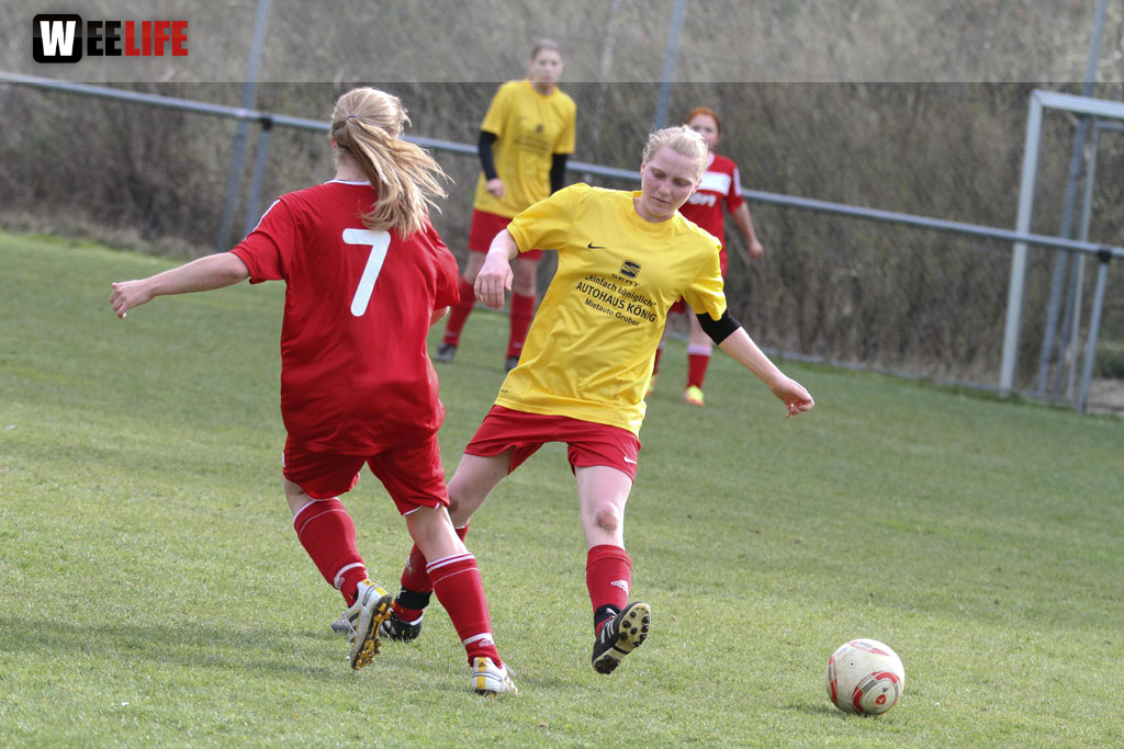 FC Selb - TSG 2005 Bamberg