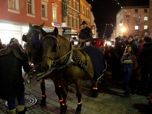 Eröffnung Hofer Weihnachtswelt – Foto 54