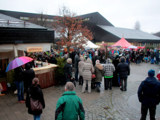Vorschau des vorherigen Fotos