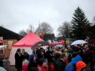 Foto 152128 im Album