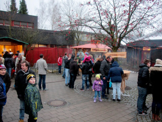 Foto 152137 im Album