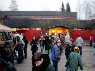 Foto 152138 im Album