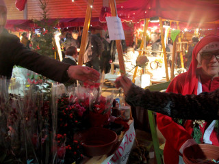 Foto 152155 im Album