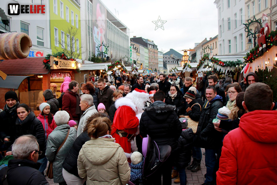 Hofer Weihnachtswelt Rentiere