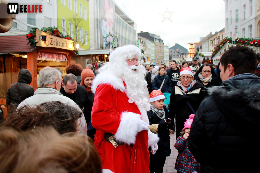 Hofer Weihnachtswelt Rentiere