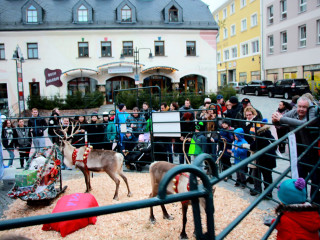 Foto 152790 im Album