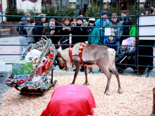 Foto 152792 im Album
