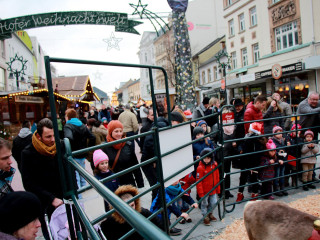 Foto 152802 im Album