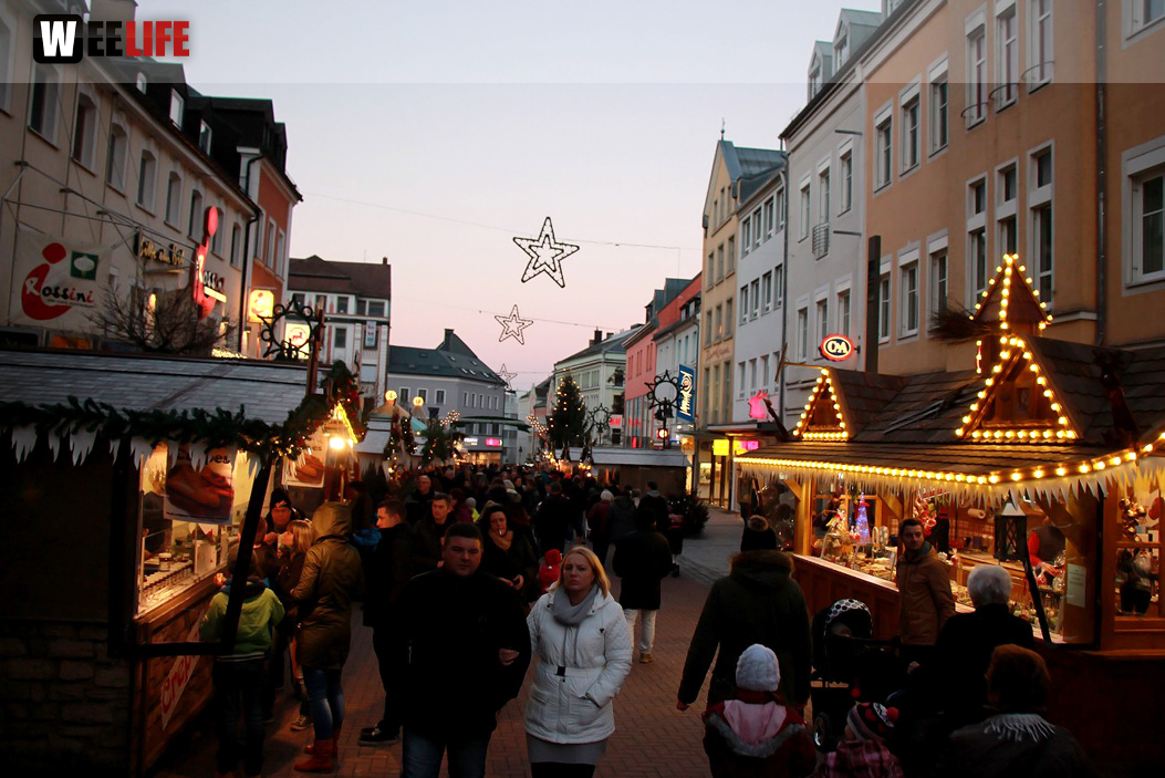Hofer Weihnachtswelt Rentiere
