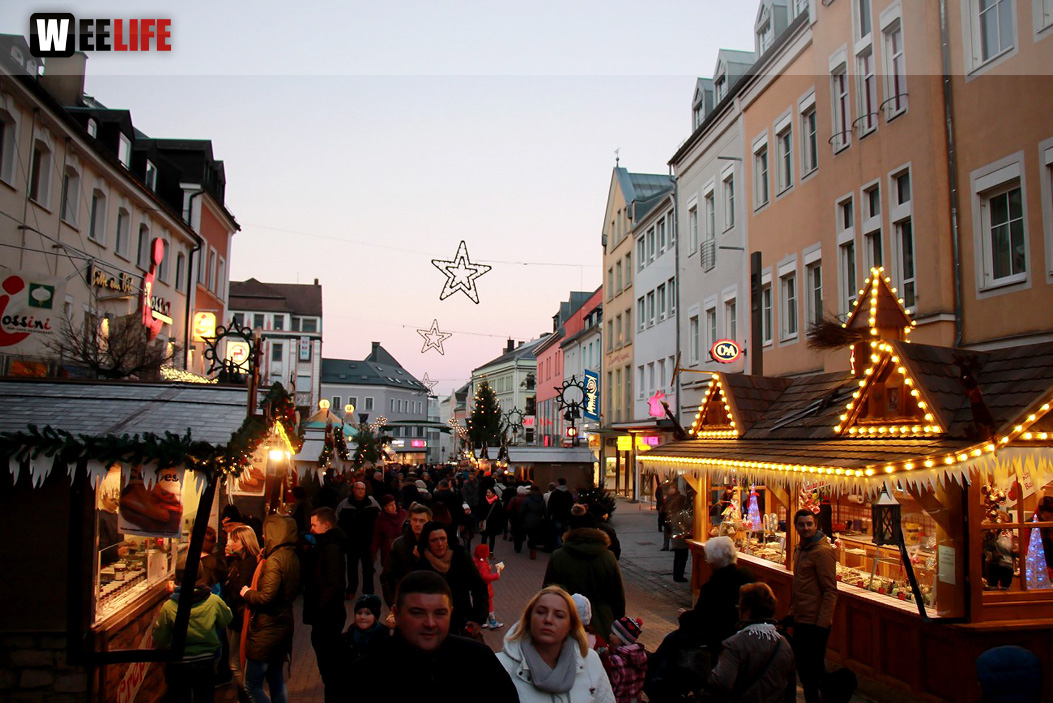 Hofer Weihnachtswelt Rentiere
