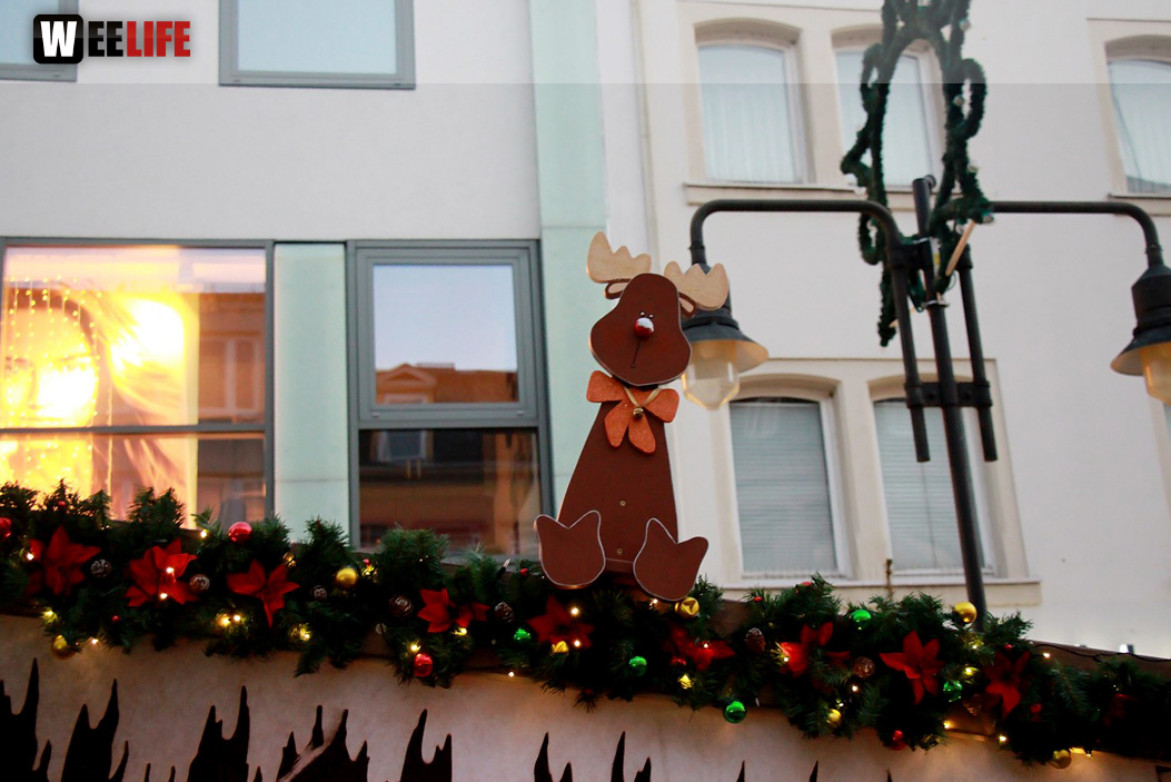 Hofer Weihnachtswelt Rentiere