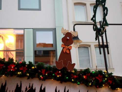 Hofer Weihnachtswelt Rentiere – Foto 21