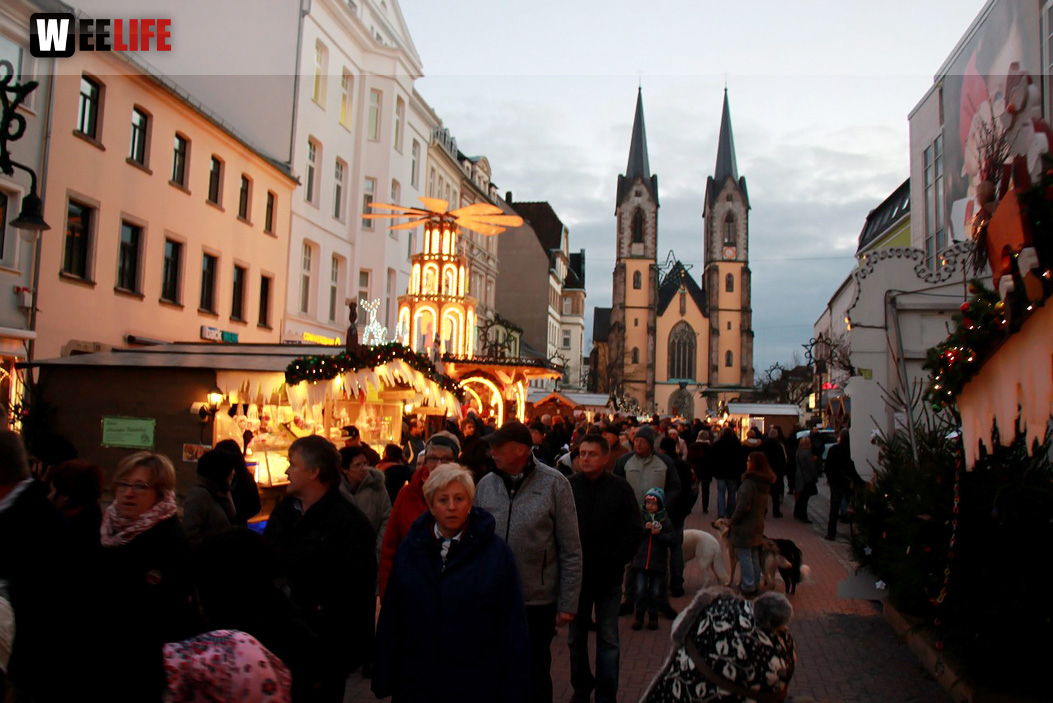 Hofer Weihnachtswelt Rentiere