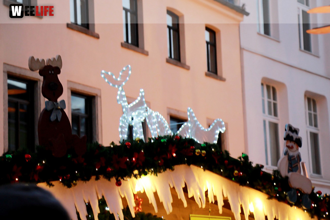 Hofer Weihnachtswelt Rentiere