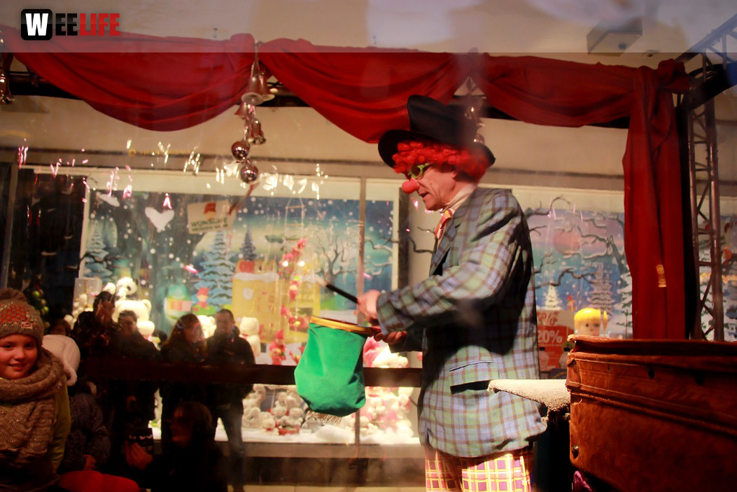 Hofer Weihnachtswelt Rentiere