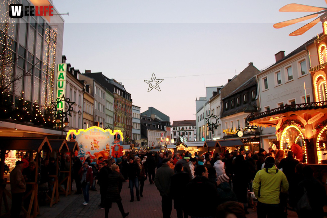 Hofer Weihnachtswelt Rentiere