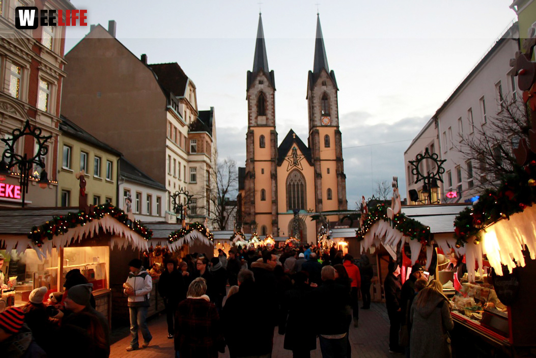 Hofer Weihnachtswelt Rentiere