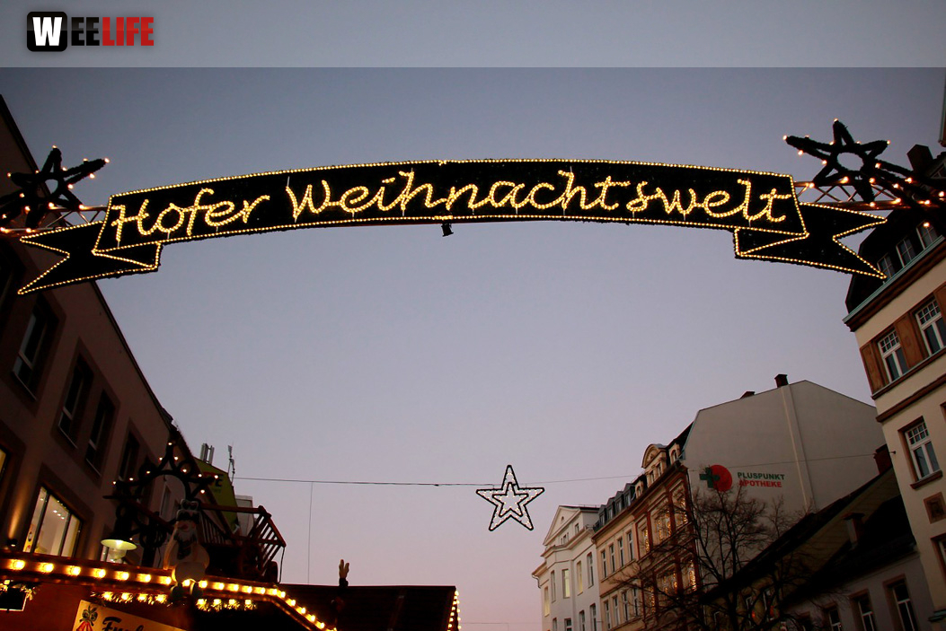 Hofer Weihnachtswelt Rentiere