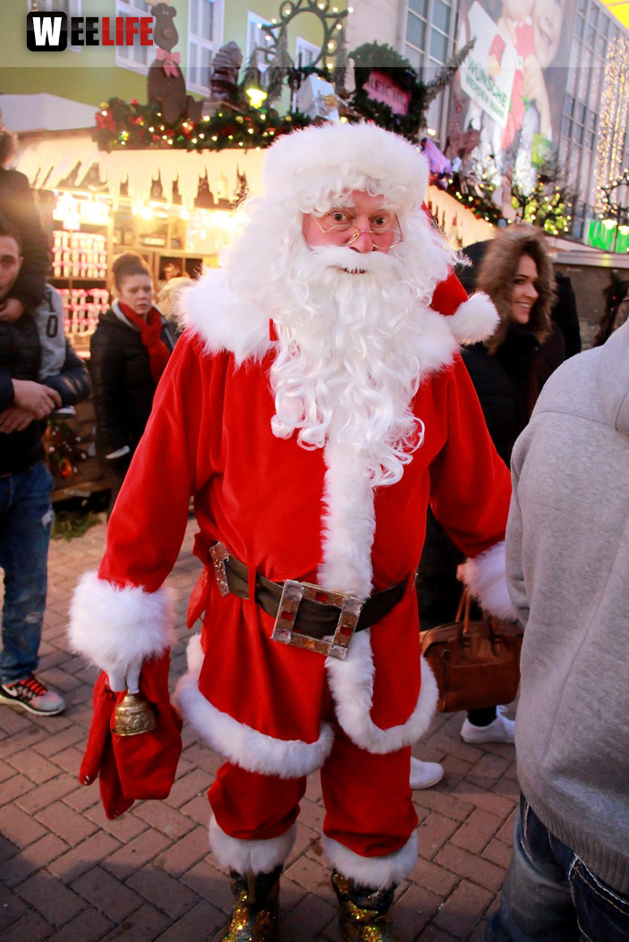Hofer Weihnachtswelt Rentiere