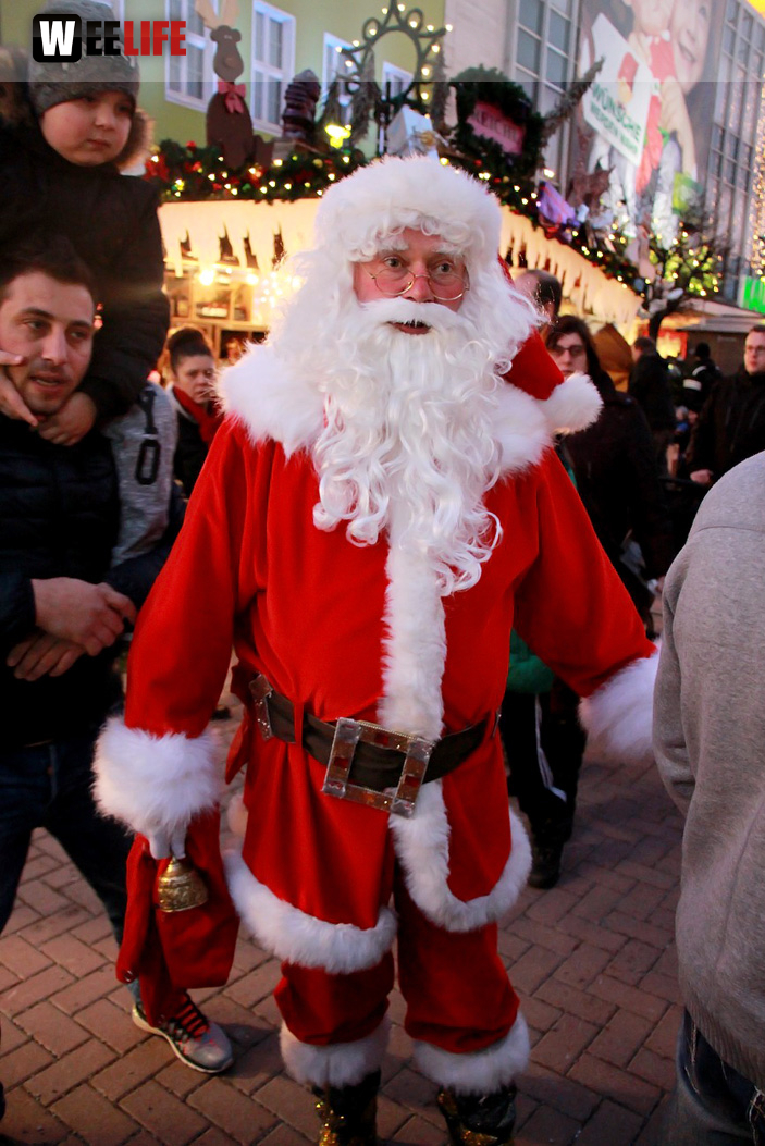 Hofer Weihnachtswelt Rentiere