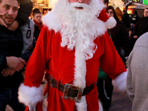 Hofer Weihnachtswelt Rentiere – Foto 50