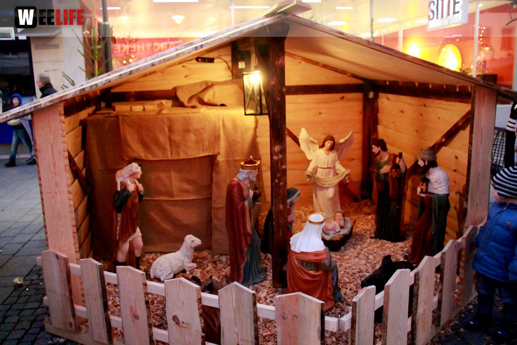 Hofer Weihnachtswelt Rentiere