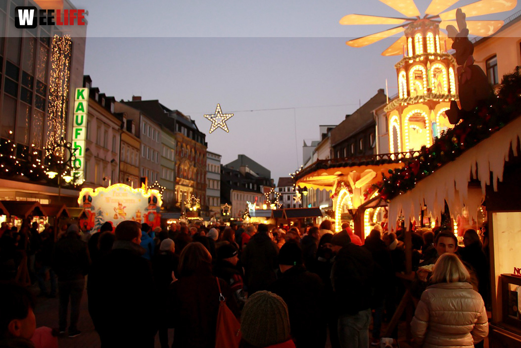 Hofer Weihnachtswelt Rentiere