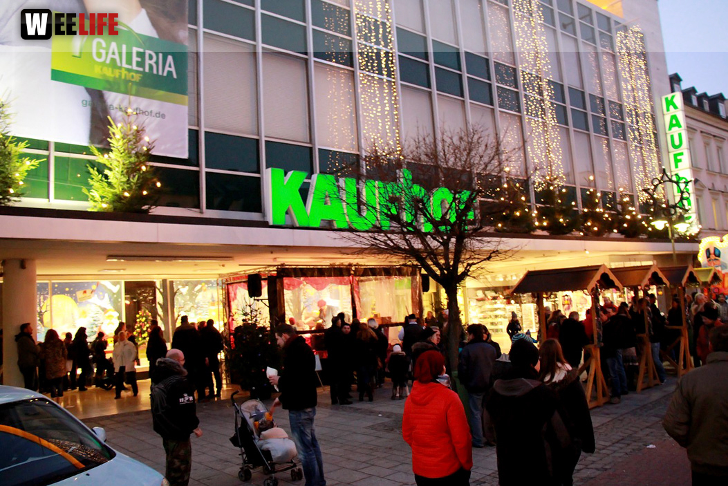 Hofer Weihnachtswelt Rentiere