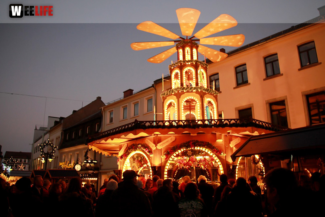 Hofer Weihnachtswelt Rentiere