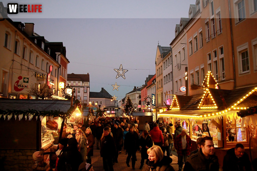 Hofer Weihnachtswelt Rentiere