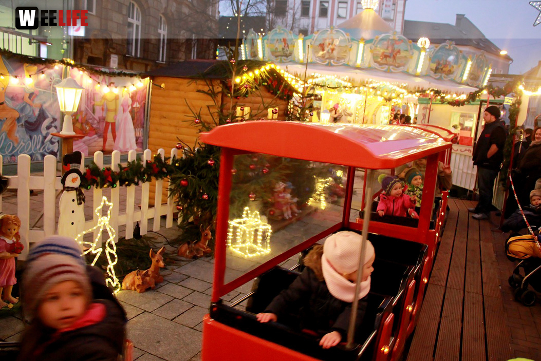 Hofer Weihnachtswelt Rentiere