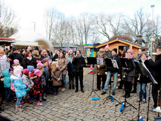 Foto 152969 im Album