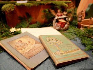 Foto 153054 im Album