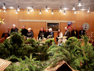 Foto 153056 im Album