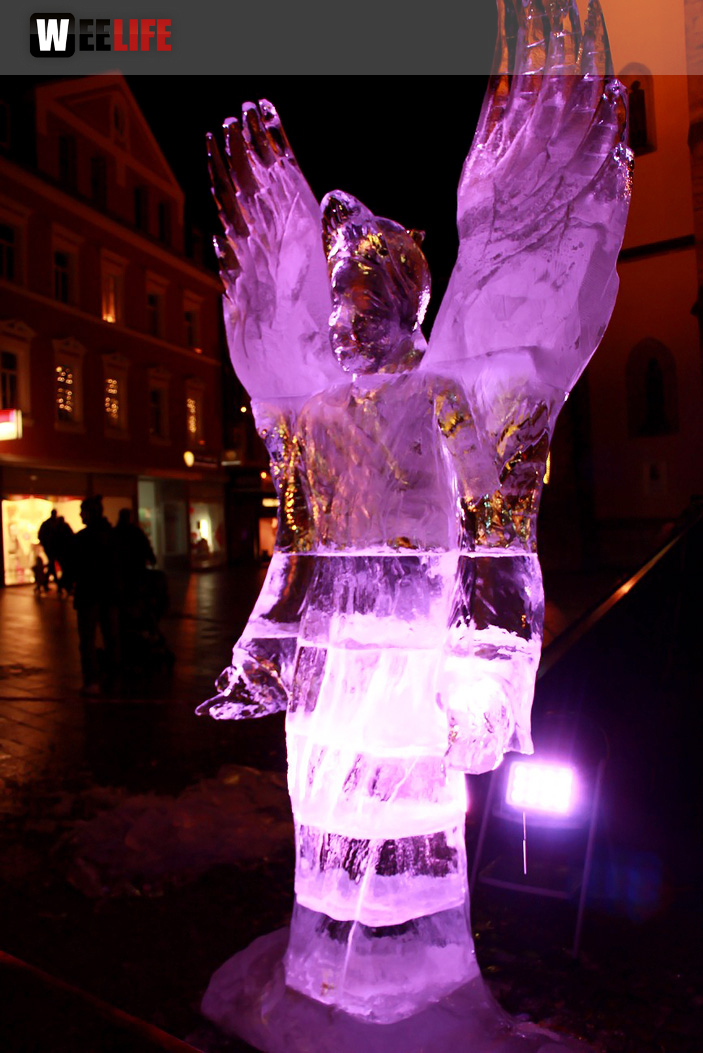 Hofer Weihnachtswelt Eis-Schnitzer