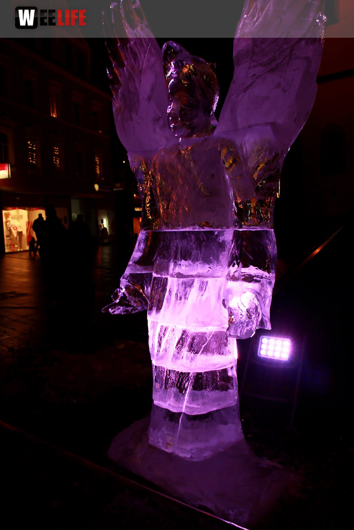 Hofer Weihnachtswelt Eis-Schnitzer