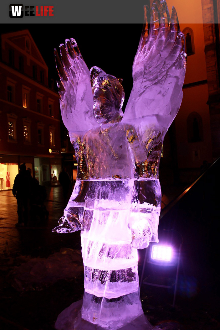 Hofer Weihnachtswelt Eis-Schnitzer