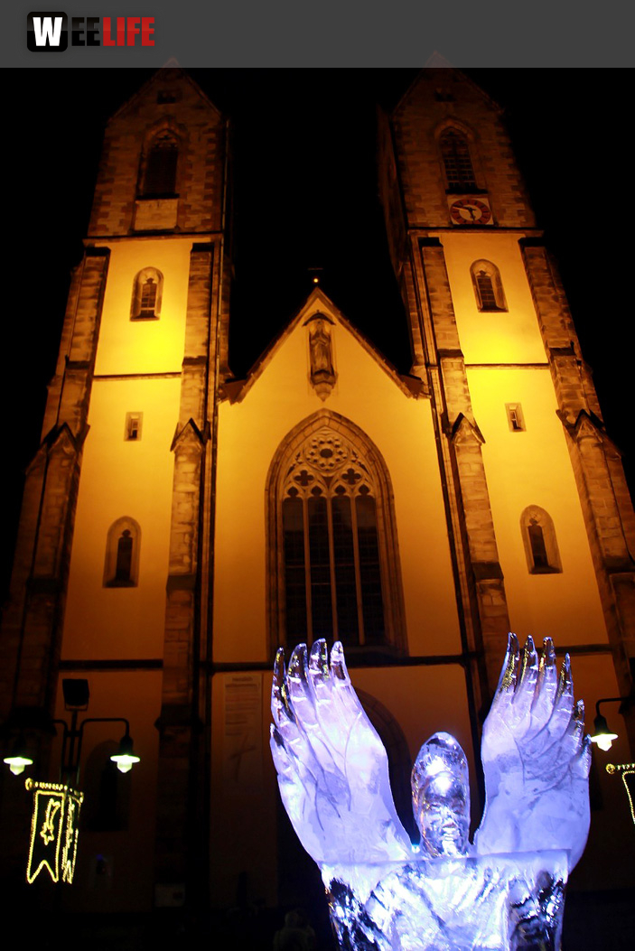 Hofer Weihnachtswelt Eis-Schnitzer