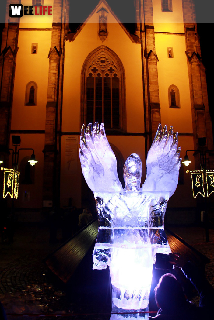 Hofer Weihnachtswelt Eis-Schnitzer
