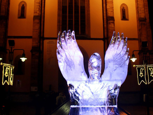 Hofer Weihnachtswelt Eis-Schnitzer – Foto 10