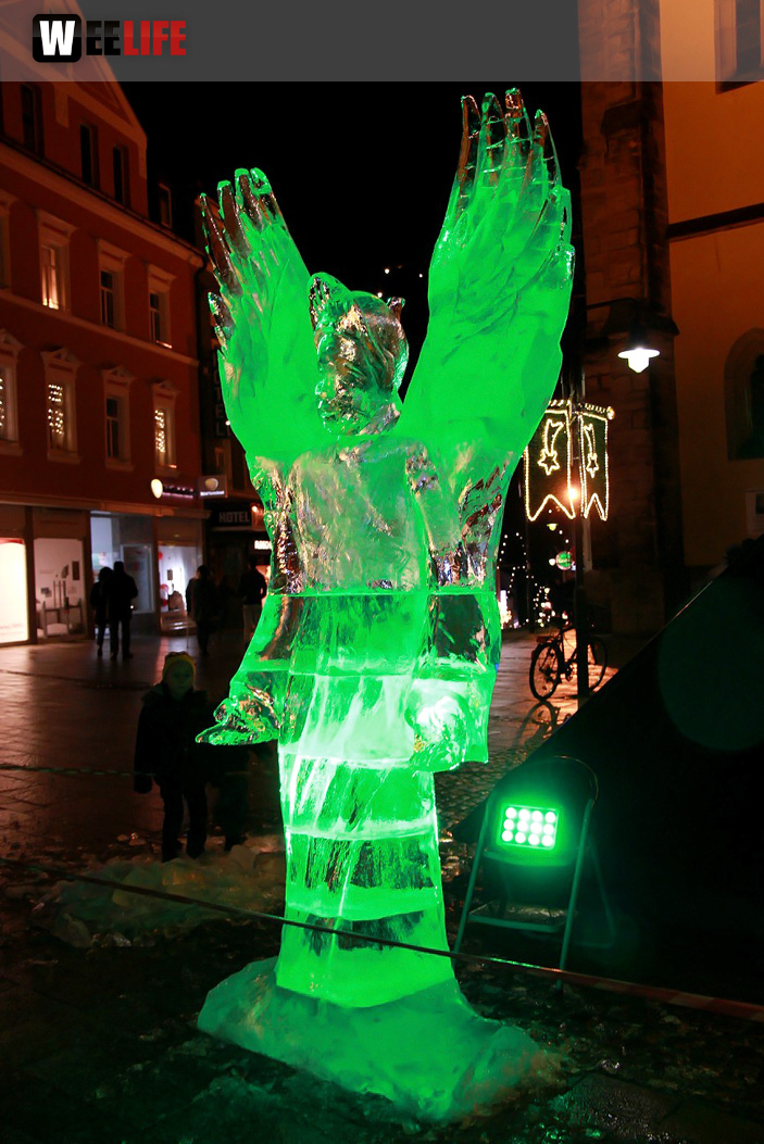 Hofer Weihnachtswelt Eis-Schnitzer